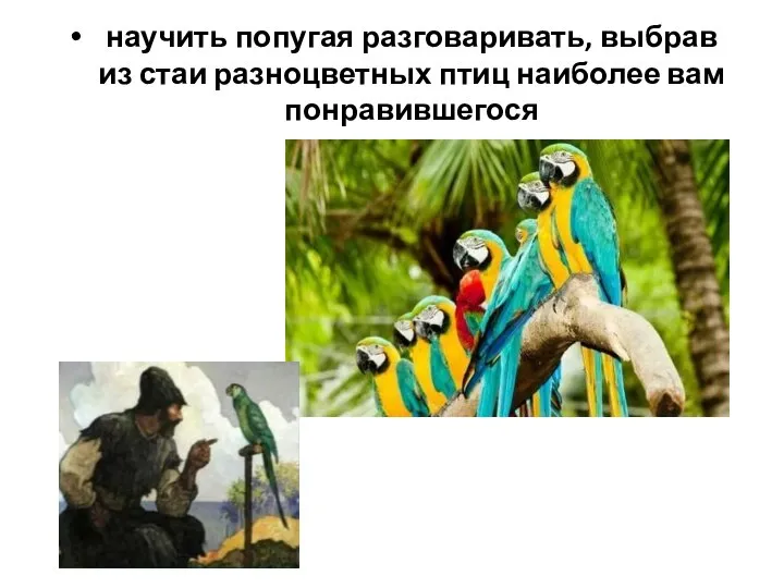 научить попугая разговаривать, выбрав из стаи разноцветных птиц наиболее вам понравившегося