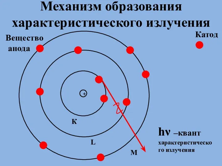 Механизм образования характеристического излучения + Катод Вещество анода L М К hν –квант характеристического излучения