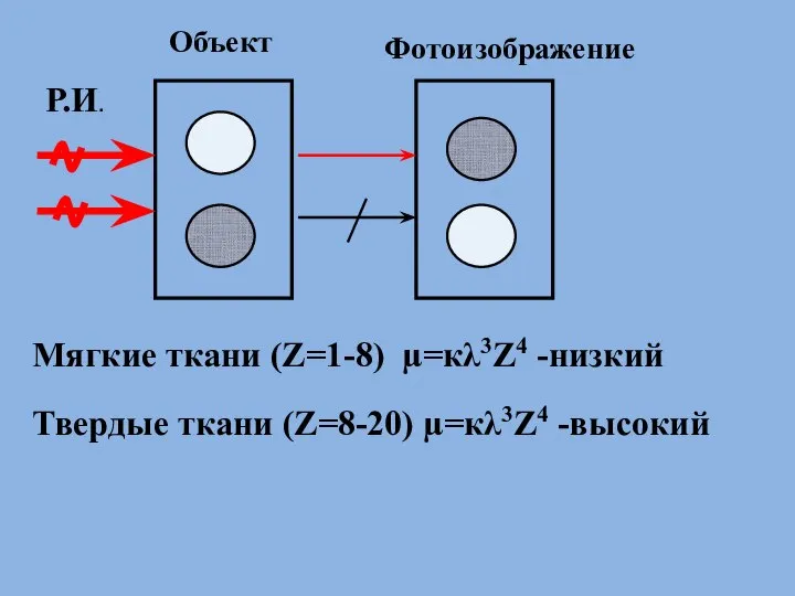 Р.И. Объект Фотоизображение Мягкие ткани (Z=1-8) µ=кλ3Z4 -низкий Твердые ткани (Z=8-20) µ=кλ3Z4 -высокий