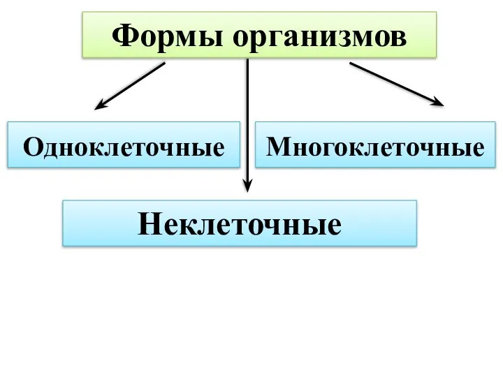 Формы организмов Одноклеточные Многоклеточные Неклеточные