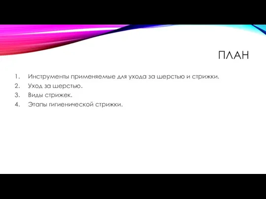 ПЛАН Инструменты применяемые для ухода за шерстью и стрижки. Уход за