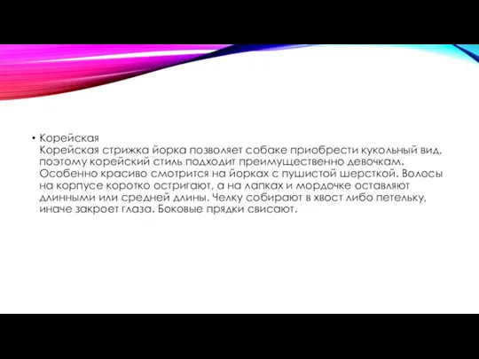 Корейская Корейская стрижка йорка позволяет собаке приобрести кукольный вид, поэтому корейский