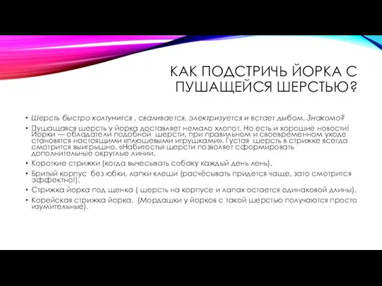 КАК ПОДСТРИЧЬ ЙОРКА С ПУШАЩЕЙСЯ ШЕРСТЬЮ? Шерсть быстро колтунится , сваливается,