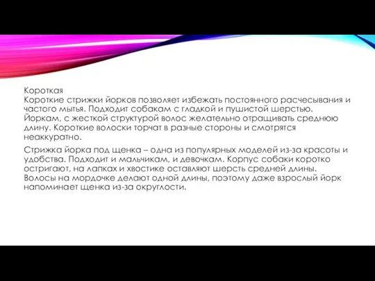 Короткая Короткие стрижки йорков позволяет избежать постоянного расчесывания и частого мытья.