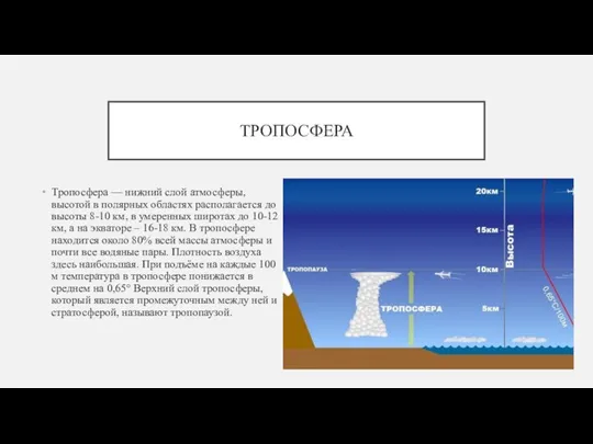 ТРОПОСФЕРА Тропосфера — нижний слой атмосферы, высотой в полярных областях располагается