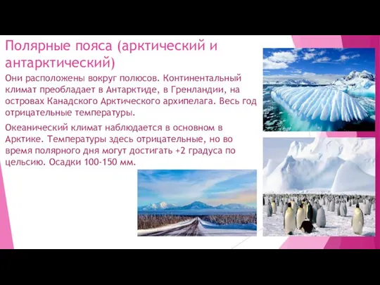 Полярные пояса (арктический и антарктический) Они расположены вокруг полюсов. Континентальный климат