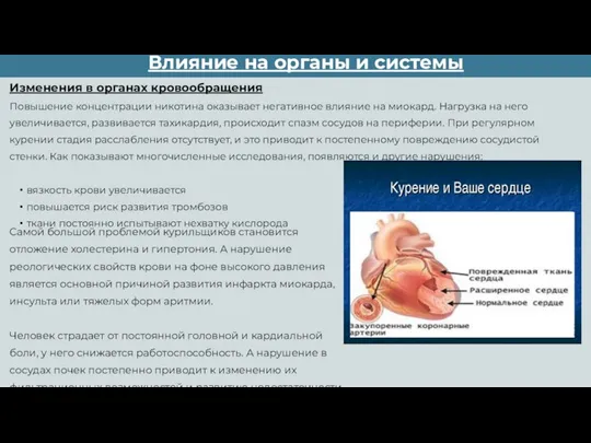 Изменения в органах кровообращения Повышение концентрации никотина оказывает негативное влияние на