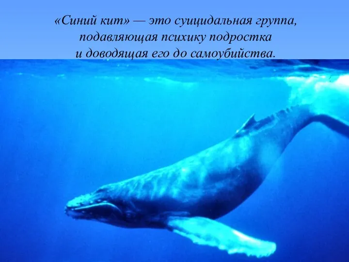 «Синий кит» — это суицидальная группа, подавляющая психику подростка и доводящая его до самоубийства.