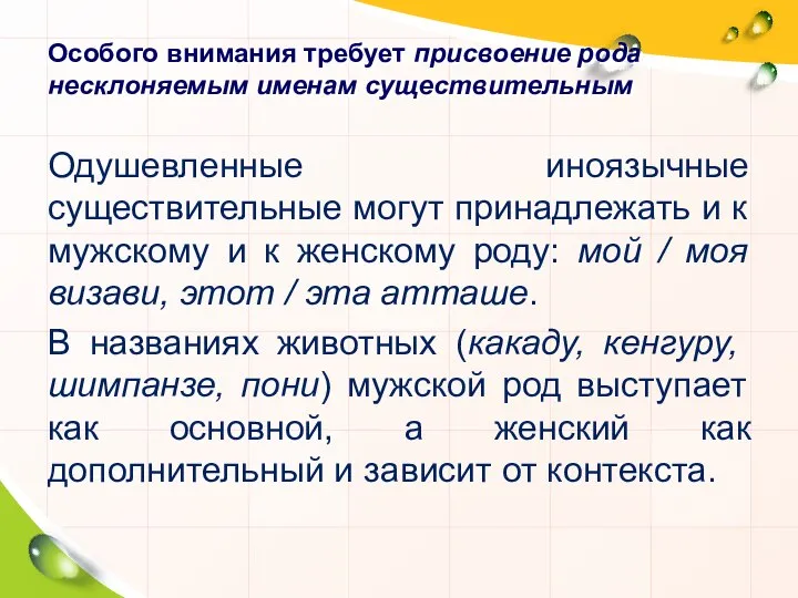 Особого внимания требует присвоение рода несклоняемым именам существительным Одушевленные иноязычные существительные