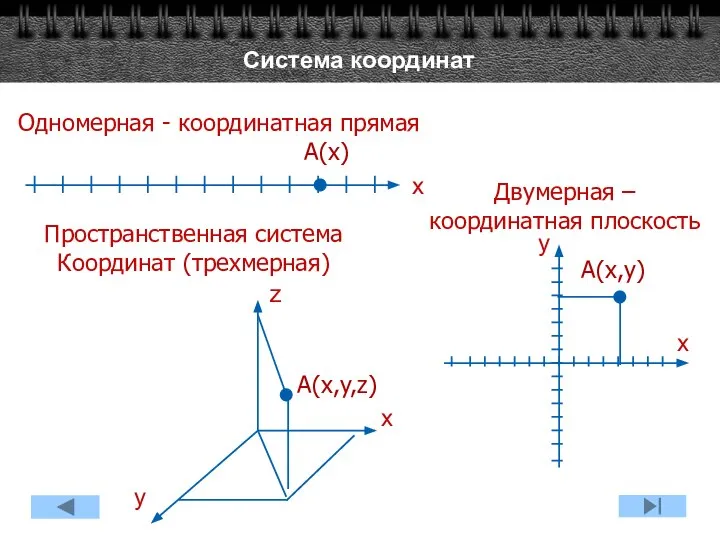 Система координат