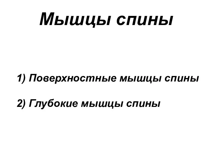 1) Поверхностные мышцы спины 2) Глубокие мышцы спины Мышцы спины