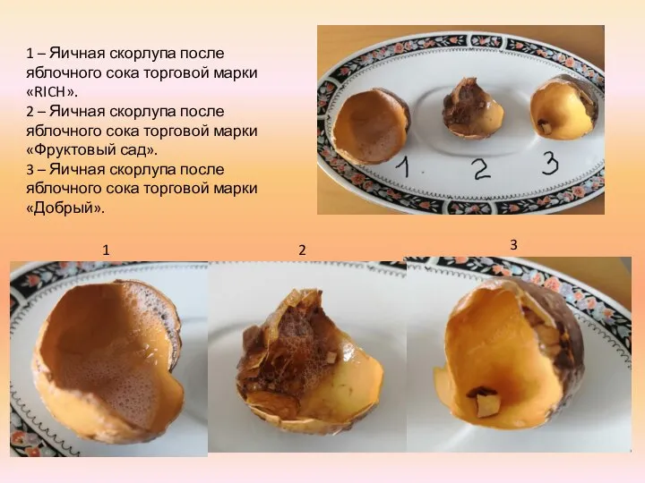 1 – Яичная скорлупа после яблочного сока торговой марки «RICH». 2