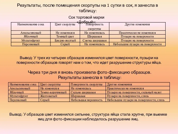 Результаты, после помещения скорлупы на 1 сутки в сок, я занесла