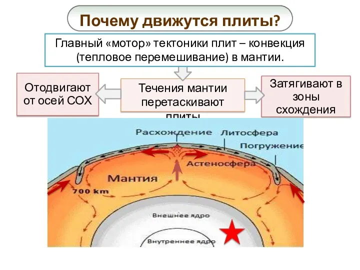 Почему движутся плиты? Отодвигают от осей СОХ Затягивают в зоны схождения