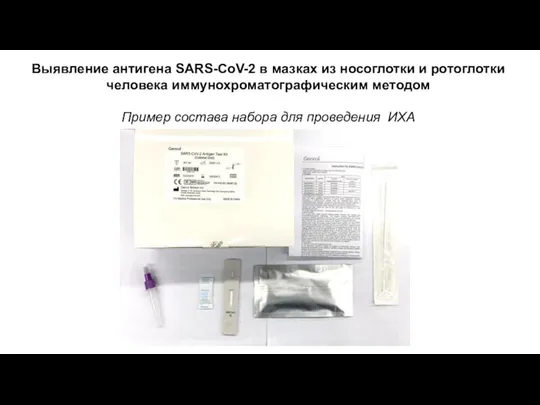 Выявление антигена SARS-CoV-2 в мазках из носоглотки и ротоглотки человека иммунохроматографическим