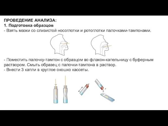 ПРОВЕДЕНИЕ АНАЛИЗА: 1. Подготовка образцов - Взять мазки со слизистой носоглотки