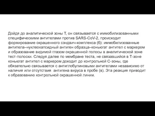 Дойдя до аналитической зоны Т, он связывается с иммобилизованными специфическими антителами