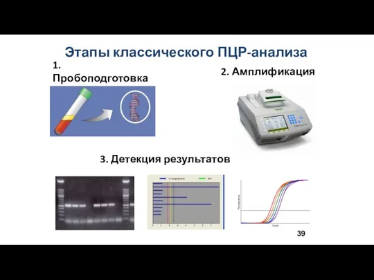 1. Пробоподготовка 2. Амплификация Этапы классического ПЦР-анализа 3. Детекция результатов