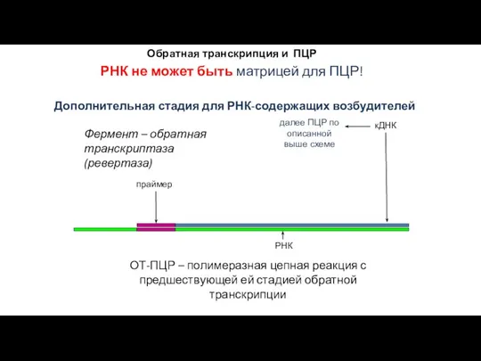 Дополнительная стадия для РНК-содержащих возбудителей кДНК РНК праймер далее ПЦР по