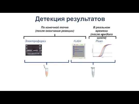 По конечной точке (после окончания реакции) В реальном времени (после каждого