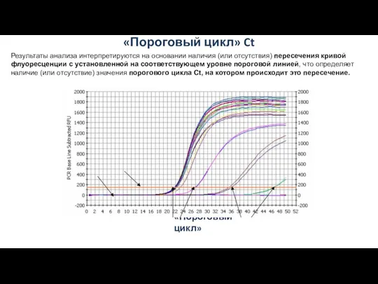 «Пороговый цикл» Ct «Фон» «Порог» «Пороговый цикл» Результаты анализа интерпретируются на