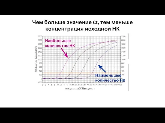 Наименьшее количество НК Наибольшее количество НК Чем больше значение Ct, тем меньше концентрация исходной НК