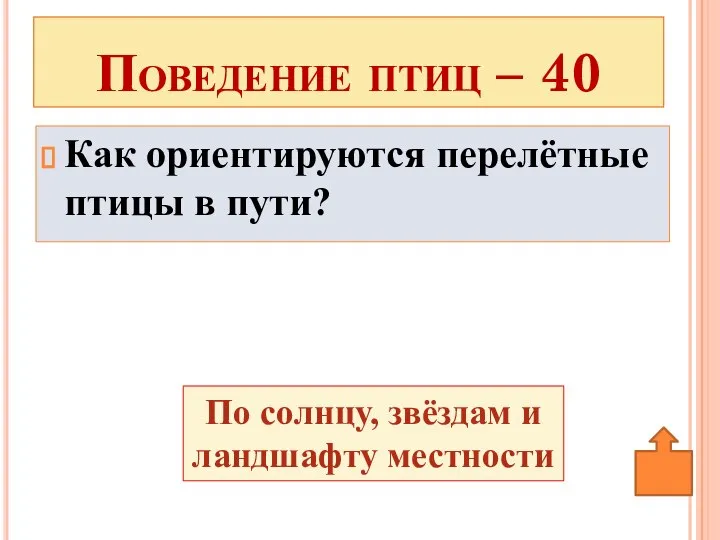 Как ориентируются перелётные птицы в пути? Поведение птиц – 40 По солнцу, звёздам и ландшафту местности