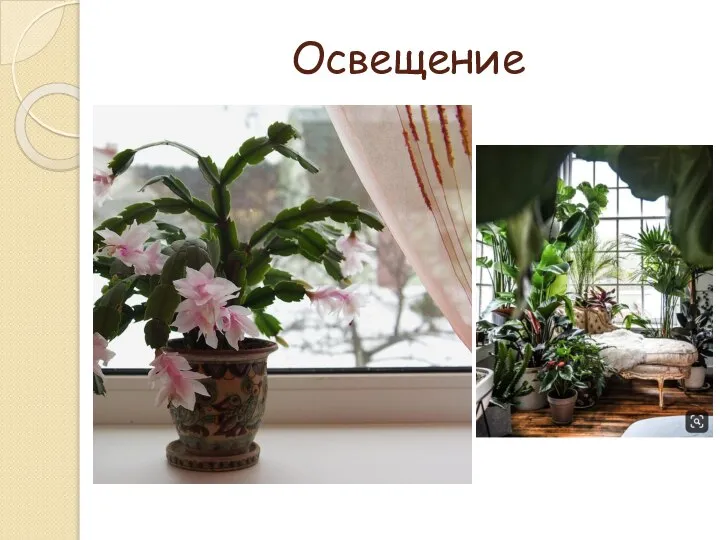 Освещение