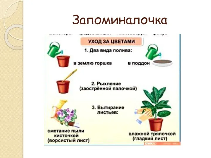 Запоминалочка