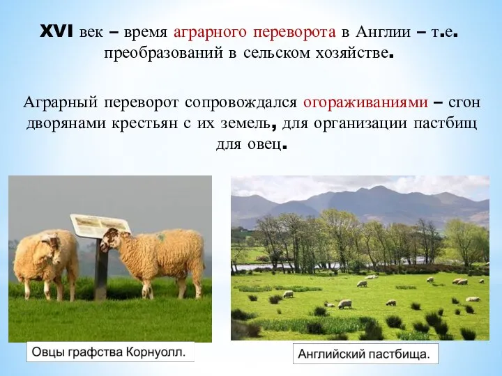 XVI век – время аграрного переворота в Англии – т.е. преобразований