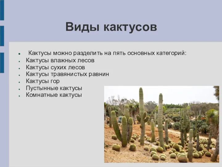 Виды кактусов Кактусы можно разделить на пять основных категорий: Кактусы влажных
