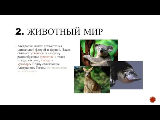 2. ЖИВОТНЫЙ МИР Австралия может похвастаться уникальной флорой и фауной. Здесь