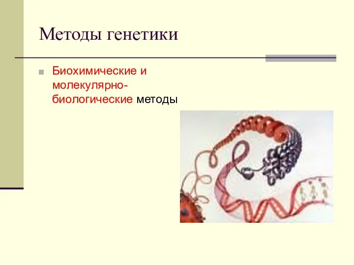 Методы генетики Биохимические и молекулярно-биологические методы