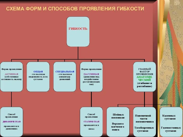 СХЕМА ФОРМ И СПОСОБОВ ПРОЯВЛЕНИЯ ГИБКОСТИ