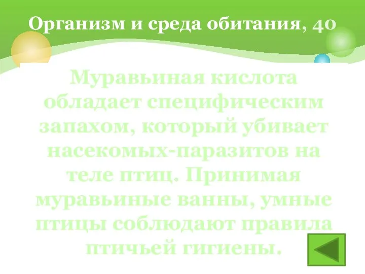 Для чего дрозды, трясогузки, оляпки, скворцы и другие хитрые птицы садятся