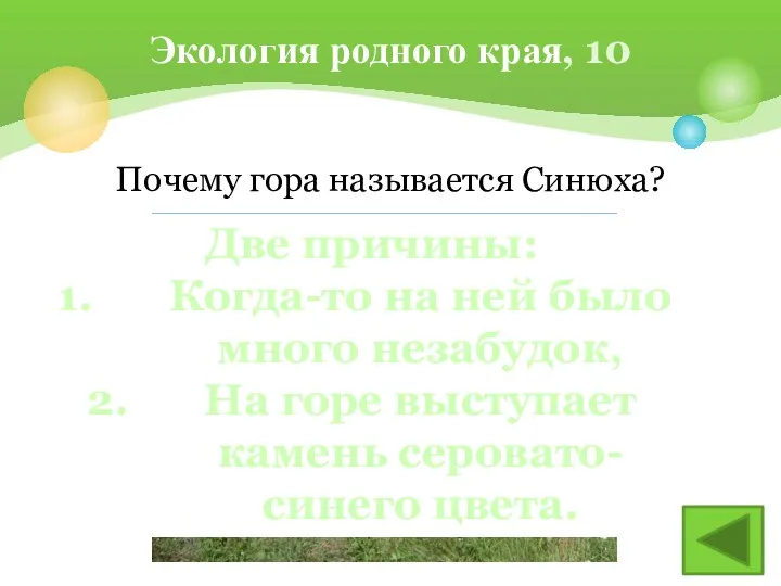 Почему гора называется Синюха? Экология родного края, 10 Две причины: Когда-то