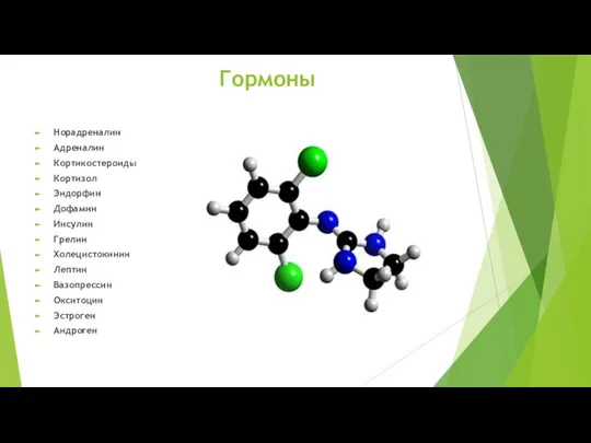 Гормоны Норадреналин Адреналин Кортикостероиды Кортизол Эндорфин Дофамин Инсулин Грелин Холецистокинин Лептин Вазопрессин Окситоцин Эстроген Андроген