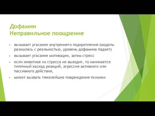 Дофамин Неправильное поощрение вызывает угасание внутреннего подкрепления (модель разошлась с реальностью,