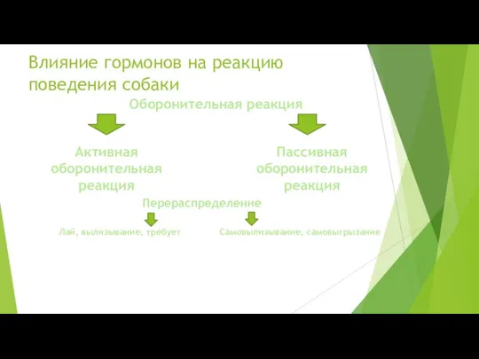 Влияние гормонов на реакцию поведения собаки Оборонительная реакция Активная оборонительная реакция