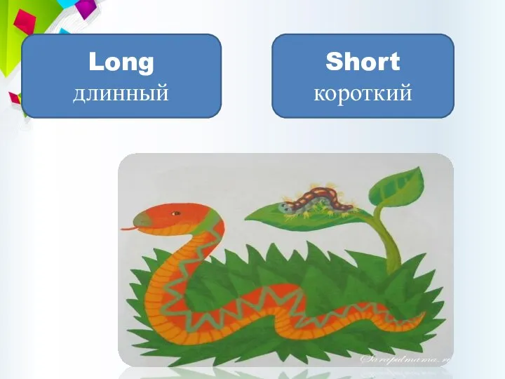 Long длинный Short короткий