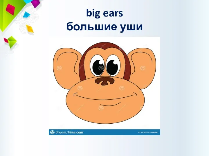 big ears большие уши