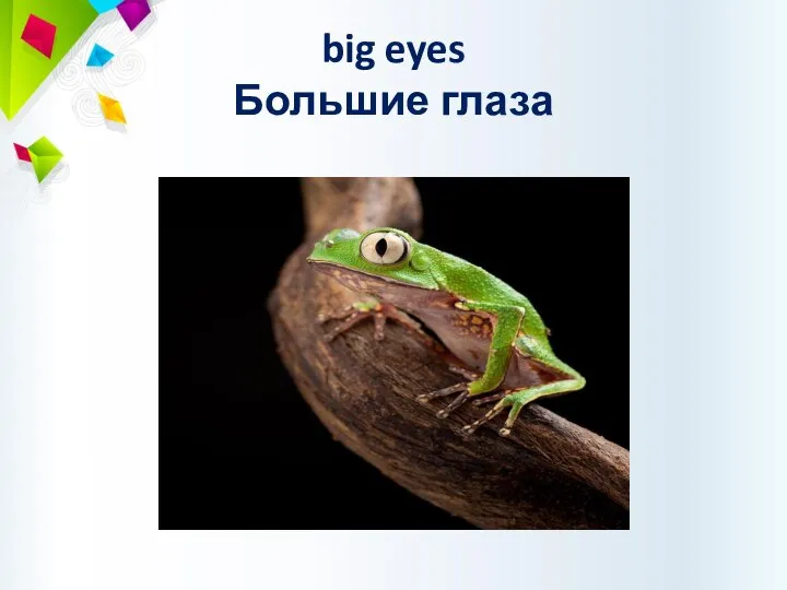 big eyes Большие глаза