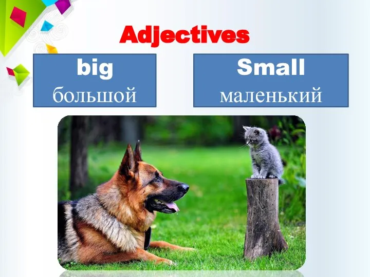 Adjectives big большой Small маленький