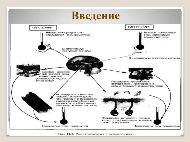 Введение