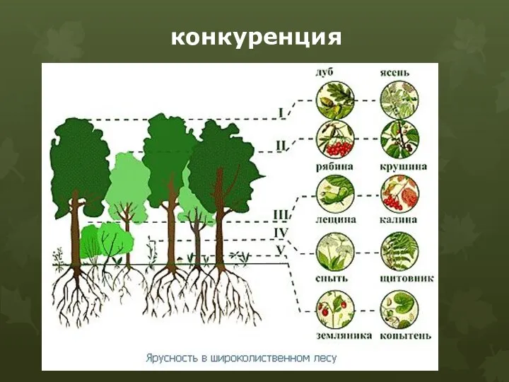 конкуренция