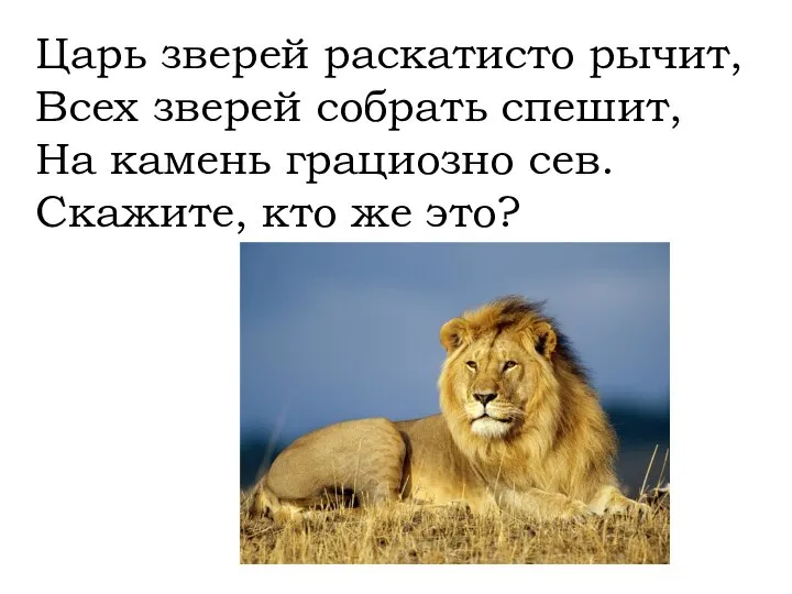 Царь зверей раскатисто рычит, Всех зверей собрать спешит, На камень грациозно сев. Скажите, кто же это?