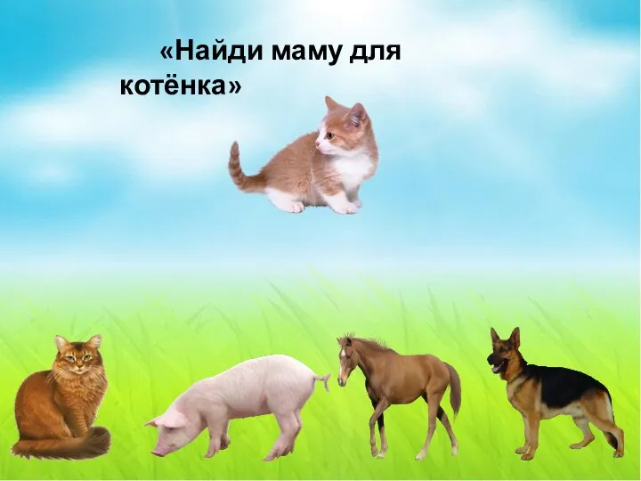 «Найди маму для котёнка»