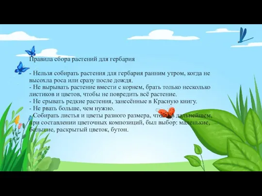 Правила сбора растений для гербария - Нельзя собирать растения для гербария