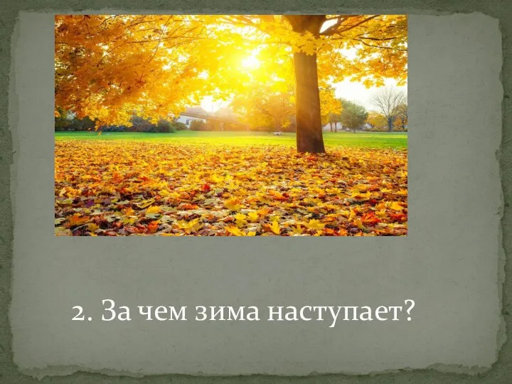 2. За чем зима наступает?