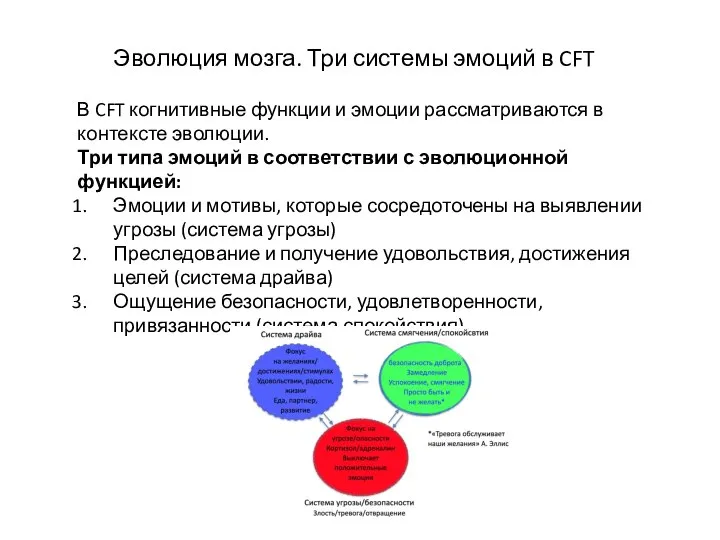 Эволюция мозга. Три системы эмоций в CFT В CFT когнитивные функции